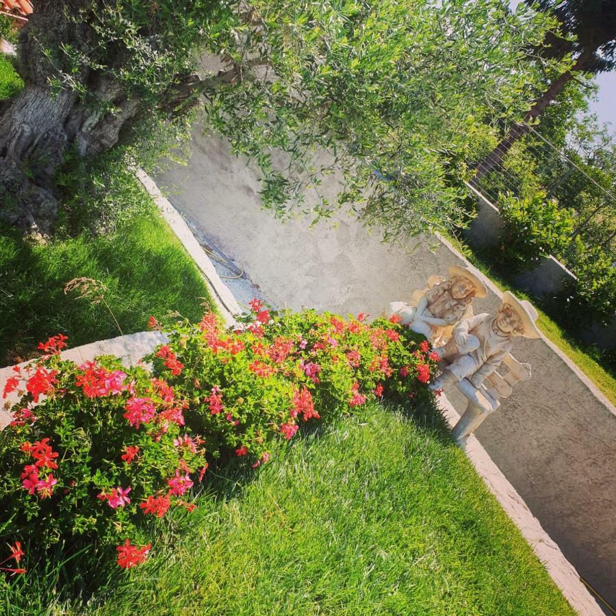 Alba Magica Bed & Breakfast Agerola Dış mekan fotoğraf